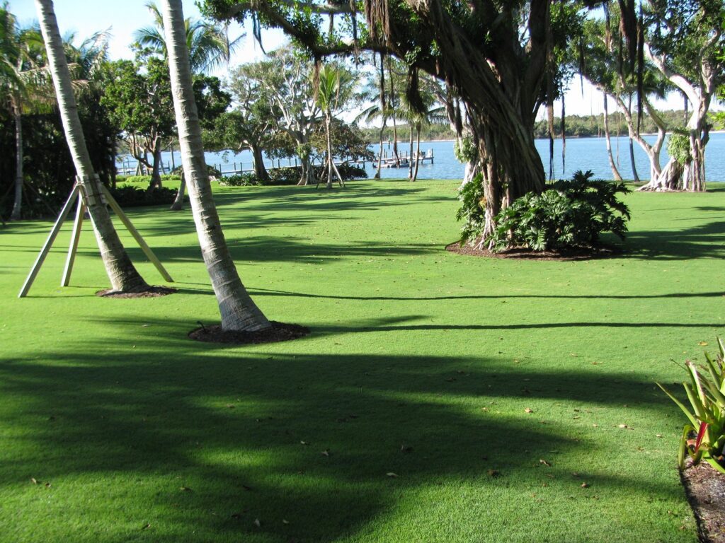 Riverside Backyard